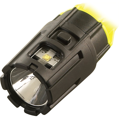 Lampe de poche manuelle compacte Dualie, DEL, 175 lumens, Piles AA Rock Safety Industrial Ltd