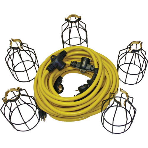 LED String Lights with Connector, 5 Lights, 50' L, Metal Housing Rock Safety Industrial Ltd