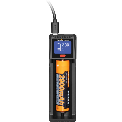 Chargeur de batterie intelligent &agrave; canal unique ARE-D1 Rock Safety Industrial Ltd