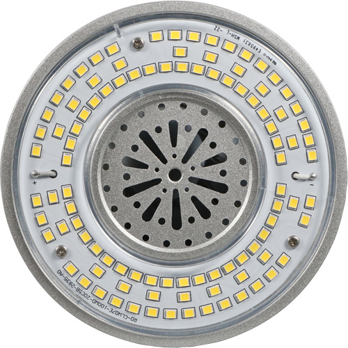 Lampe haute luminosit&eacute; Ultra LED, DHI, 100 W, 13500 lumens, base Mogul Rock Safety Industrial Ltd