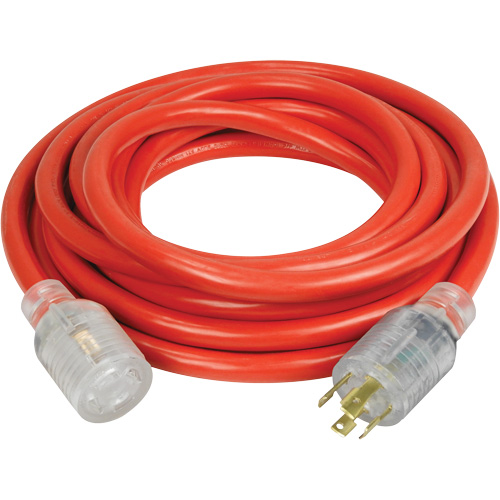 Generator Extension Cord with Quad Tap, Outdoor, 10 AWG, 30 A, 4 Outlet(s), 25' Rock Safety Industrial Ltd