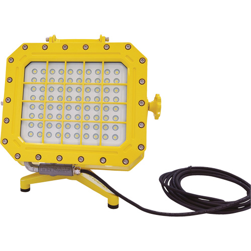 Diffuseur anti-d&eacute;flagration avec support pour plancher, DEL, 40 W, 5600 lumens, Boîtier en Aluminium Rock Safety Industrial Ltd