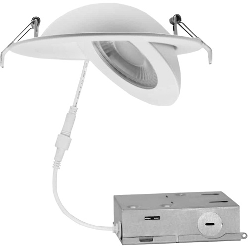 Gimbal Light Fixture, LED, 120 V, 9 W Rock Safety Industrial Ltd