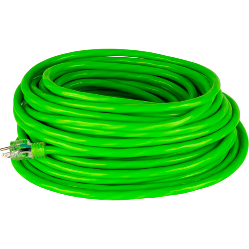 Cordon rallonge de calibre industriel, Toutes saisons, SJTW, AWG 10/3, 15 A, 50' Rock Safety Industrial Ltd