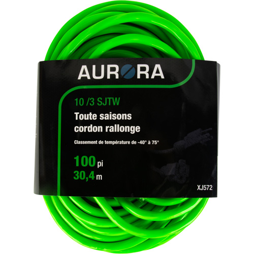 Cordon rallonge de calibre industriel, Toutes saisons, SJTW, AWG 10/3, 15 A, 100' Rock Safety Industrial Ltd