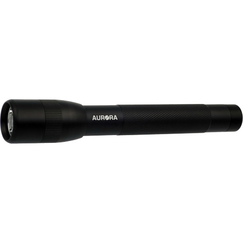 Lampe de poche IPX4, 100 lumens, Piles AA Rock Safety Industrial Ltd