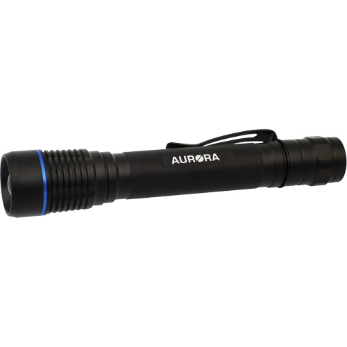 Lampe de poche IPX7, DEL, 250 lumens, Piles AA Rock Safety Industrial Ltd