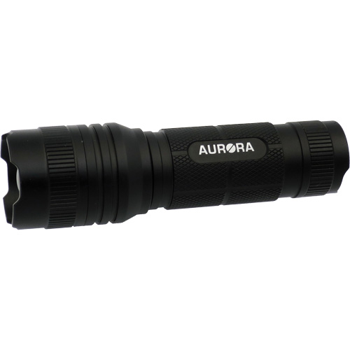 Lampe de poche IPX4, 500 lumens, Piles AAA Rock Safety Industrial Ltd