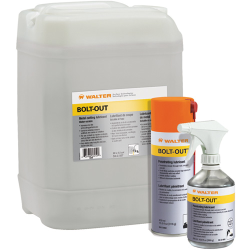 Bolt-Out Penetrating Lubricant, Aerosol Can Rock Safety Industrial Ltd