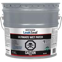 LeakSeal&reg; Ultimate Wet Roof Patch Rock Safety Industrial Ltd