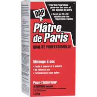 M&eacute;lange sec de pl&acirc;tre de Paris, 2 kg, Boîte Rock Safety Industrial Ltd