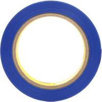 Ruban en polyester 8901, 25,4 mm (1") x 66 m (216'), Bleu Rock Safety Industrial Ltd