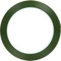 Ruban en polyester, Polyester, 25,4 mm (1") la x 66 m (216') lo, 1,9 mils &eacute;pais Rock Safety Industrial Ltd