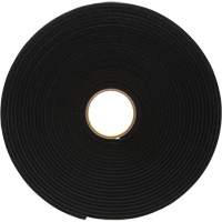 4504 Vinyl Foam Tape, 25.4 mm (1") W x 16.5 m (54') L, 250 mils, Black Rock Safety Industrial Ltd
