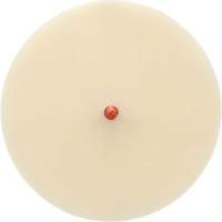 Scotch-Brite Moulding Adhesive and Stripe Removal Disc 7502, 6" Dia. Rock Safety Industrial Ltd