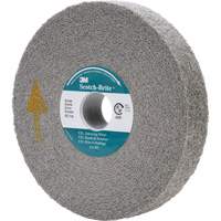 Meule d'&eacute;barbage EXL Scotch-Brite, 6" x 1", Arbre de 1" Rock Safety Industrial Ltd