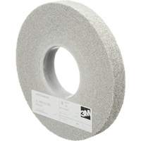Meules d'&eacute;barbage EXL Scotch-Brite, 8" x 1", Arbre de 3", Oxyde d'aluminium Rock Safety Industrial Ltd