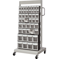 Mobile Tilt Bin Rack, Single-sided, 46 bins, 26-1/4" W x 22" D x 57-1/2" H Rock Safety Industrial Ltd