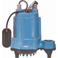 Pompes de puisard/pour effluents pour temp&eacute;ratures &eacute;lev&eacute;es, 50 gal./h, 115 V, 10,1 A, 1/3 CV Rock Safety Industrial Ltd