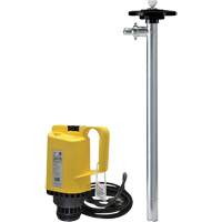 Pompes &agrave; tambour &eacute;lectriques, Acier inoxydable, 54,5 gal./min Rock Safety Industrial Ltd