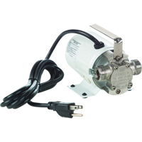 Non-Submersible, Self-Priming Plated Brass Transfer Pumps - Pump Only, 115 V, 360 GPH, 1/10 HP Rock Safety Industrial Ltd