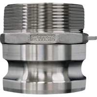 Cam & Groove Coupling, Stainless Steel, Type F, 3/4", Male NPT, 250 PSI Rock Safety Industrial Ltd