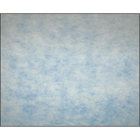 Filtres en m&eacute;dias synth&eacute;tiques &agrave; arrestance &eacute;lev&eacute;e, Tampon, MERV 5, 24" la x 2" p x 12" h Rock Safety Industrial Ltd