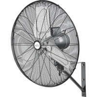 Oscillating Wall Fan, Industrial, 24" Dia., 2 Speeds Rock Safety Industrial Ltd