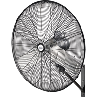 Oscillating Wall Fan, Industrial, 30" Dia., 2 Speeds Rock Safety Industrial Ltd