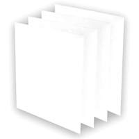 AeraMax&reg; Pro AM3 or AM4 Pre-Filters, 13.75" W x 0.13" D x 14.38" H Rock Safety Industrial Ltd