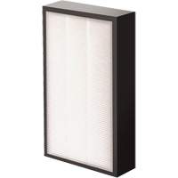 AeraMax&reg; Pro AM2 1-3/4" True HEPA Filter, Box, 7.38" W x 1.88" D x 12.88" H Rock Safety Industrial Ltd