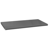 Replacement Cabinet Shelves, 35-1/2" x 16-3/8", 900 lbs. Capacity, Steel, Grey Rock Safety Industrial Ltd
