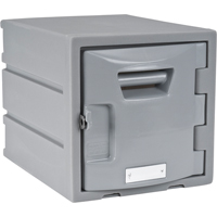 Locker, 12" x 15" x 12", Grey, Assembled Rock Safety Industrial Ltd
