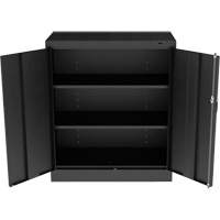 Standard Counter-High Cabinet, Steel, 2 Shelves, 42" H x 36" W x 18" D, Black Rock Safety Industrial Ltd