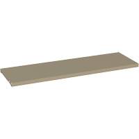 Additional Shelf for 94 Series Cabinets, 36" x 18", 150 lbs. Capacity, Steel, Beige Rock Safety Industrial Ltd
