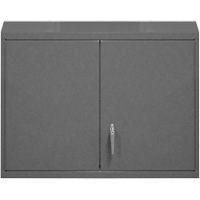Armoire murale, 27" h x 29-7/8" la x 13-11/16" p, 2 tablettes, Acier, Gris Rock Safety Industrial Ltd