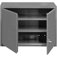 Armoire murale, 27" h x 29-7/8" la x 13-11/16" p, 2 tablettes, Acier, Gris Rock Safety Industrial Ltd