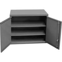 Armoire murale, 27" h x 13-11/16" la x 35-7/8" p, 2 tablettes, Acier, Gris Rock Safety Industrial Ltd