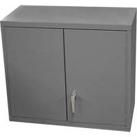 Armoire murale, 27" h x 13-11/16" la x 35-7/8" p, 2 tablettes, Acier, Gris Rock Safety Industrial Ltd