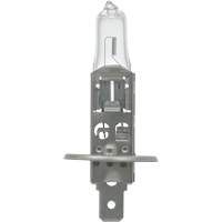 64155 Ampoule automobile de base, Halog&egrave;ne, 78 W, Blanc cass&eacute; Rock Safety Industrial Ltd