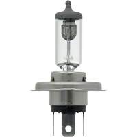 9003 Basic Headlight Bulb, Halogen, 61 W/67 W, Off White Rock Safety Industrial Ltd
