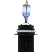 9007 Ampoule de feu avant SilverStar Ultra, Halog&egrave;ne, 55 W/65 W, Blanc Rock Safety Industrial Ltd
