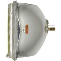 Phare automobile scell&eacute; de base H6054, 35 W, Blanc Rock Safety Industrial Ltd