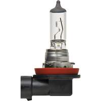 H8 Basic Headlight Bulb, Halogen, 35 W, Off White Rock Safety Industrial Ltd