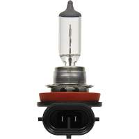 H8 Basic Headlight Bulb, Halogen, 35 W, Off White Rock Safety Industrial Ltd