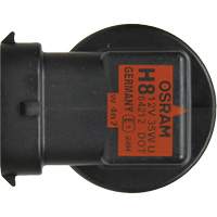 H8 Basic Headlight Bulb, Halogen, 35 W, Off White Rock Safety Industrial Ltd