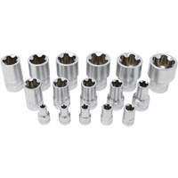 5-Point EPR Torx Socket Set, 16 Pieces, 1/4"/3/8"/1/2" Drive Size Rock Safety Industrial Ltd