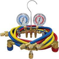 Automotive Manifold Gauge Set with Economy Couplers & Tank Adapter Rock Safety Industrial Ltd