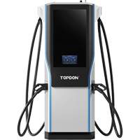 BoostQ EV Fast Charger, 60 kW, DC, CCS1 Connector Rock Safety Industrial Ltd