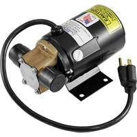 Low Profile Truck Drain with Electric Pump Rock Safety Industrial Ltd